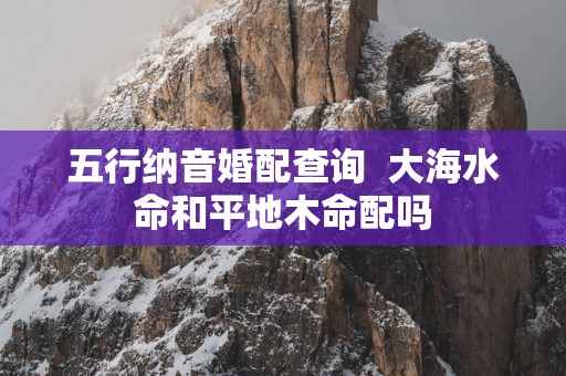五行纳音婚配查询  大海水命和平地木命配吗
