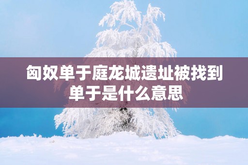 匈奴单于庭龙城遗址被找到 单于是什么意思