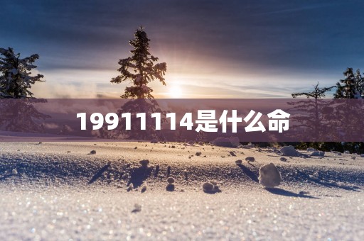 19911114是什么命