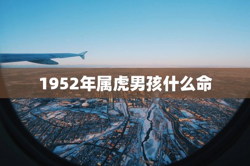 1952年属虎男孩什么命