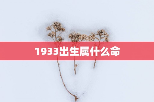 1933出生属什么命