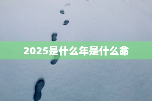 2025是什么年是什么命
