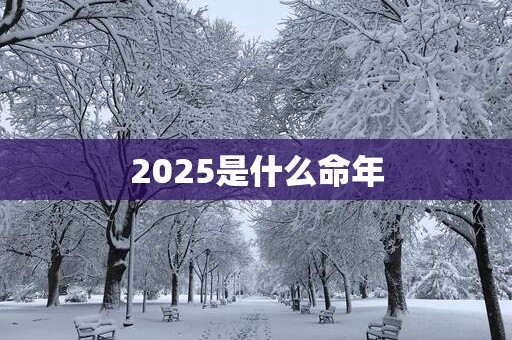 2025是什么命年