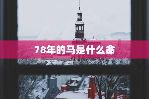 78年的马是什么命