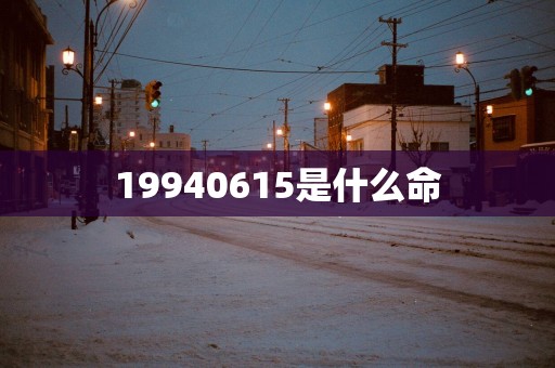 19940615是什么命