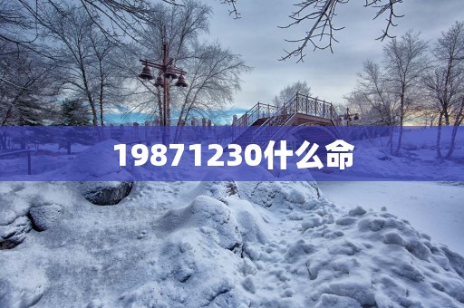 19871230什么命