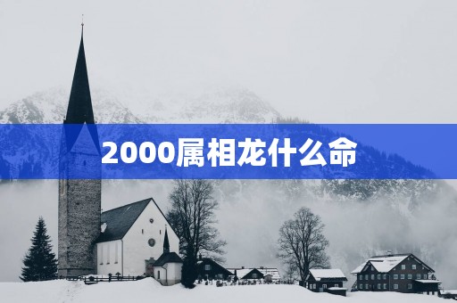 2000属相龙什么命