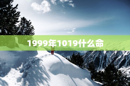 1999年1019什么命