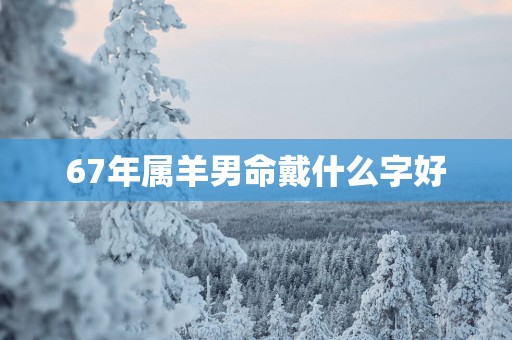 67年属羊男命戴什么字好