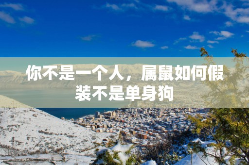 你不是一个人，属鼠如何假装不是单身狗