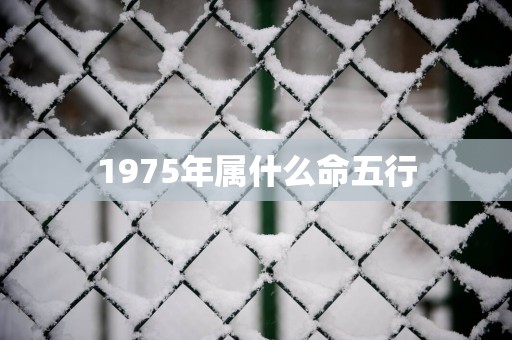 1975年属什么命五行