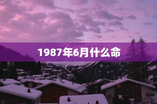 1987年6月什么命