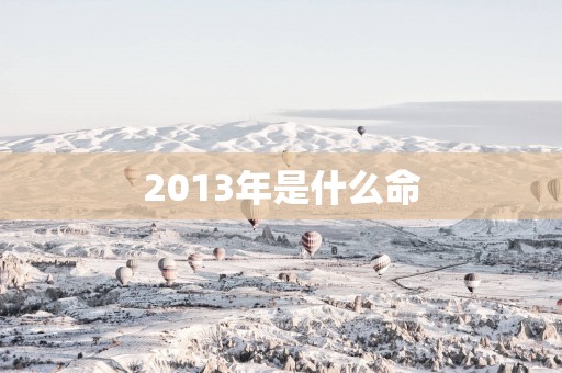 2013年是什么命