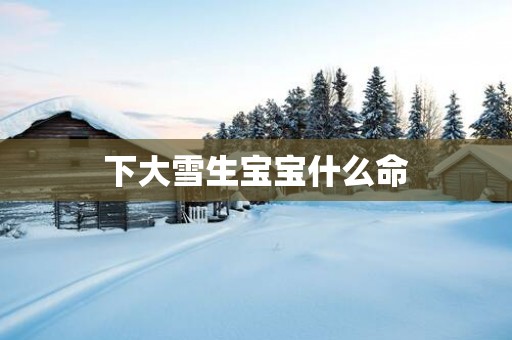 下大雪生宝宝什么命