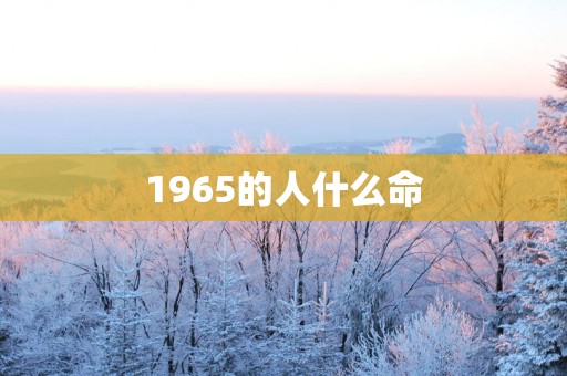 1965的人什么命
