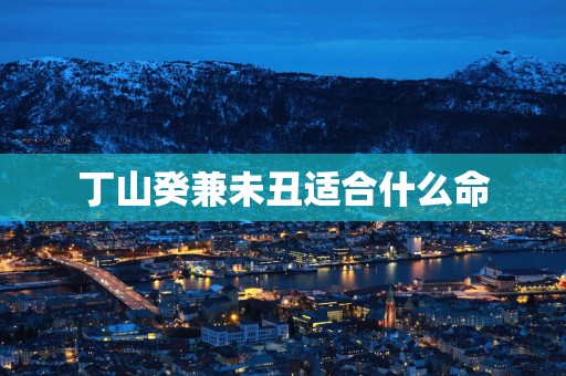 丁山癸兼未丑适合什么命