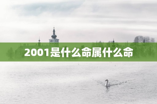 2001是什么命属什么命