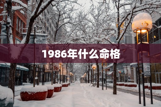 1986年什么命格