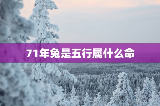 71年兔是五行属什么命
