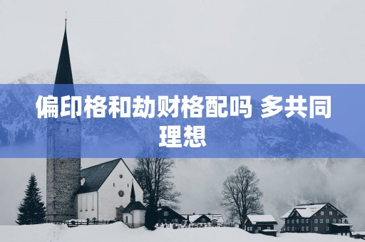 偏印格和劫财格配吗 多共同理想