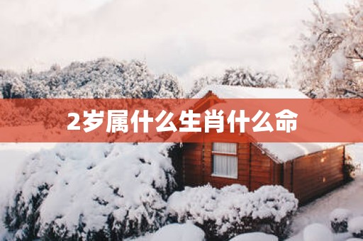 2岁属什么生肖什么命