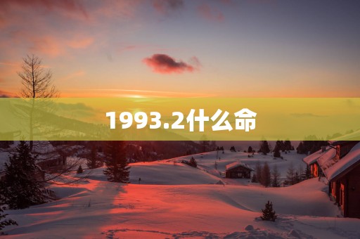 1993.2什么命