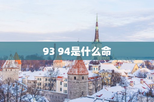 93 94是什么命