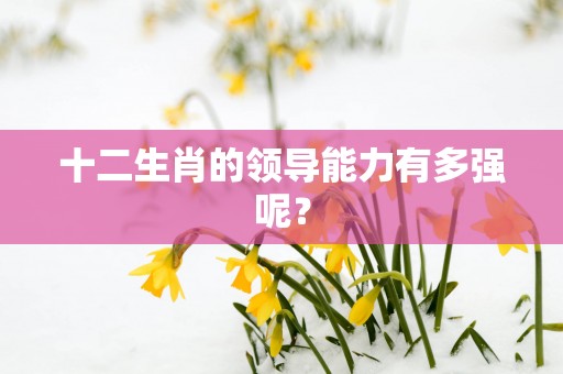 十二生肖的领导能力有多强呢？