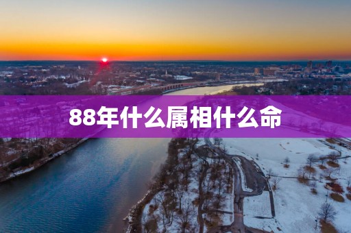 88年什么属相什么命