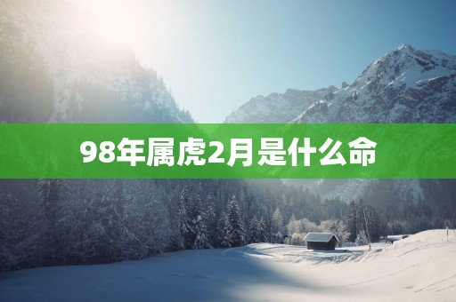 98年属虎2月是什么命