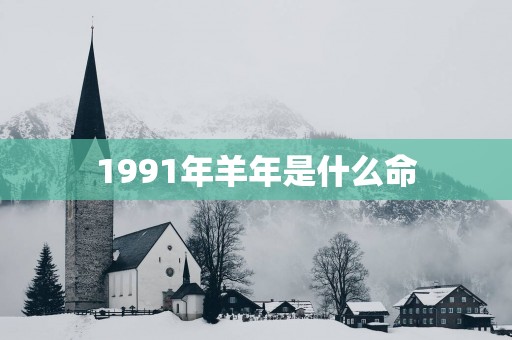 1991年羊年是什么命