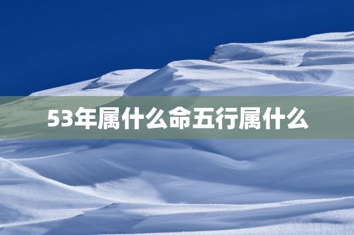 53年属什么命五行属什么