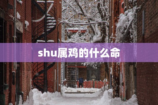 shu属鸡的什么命