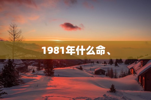 1981年什么命、