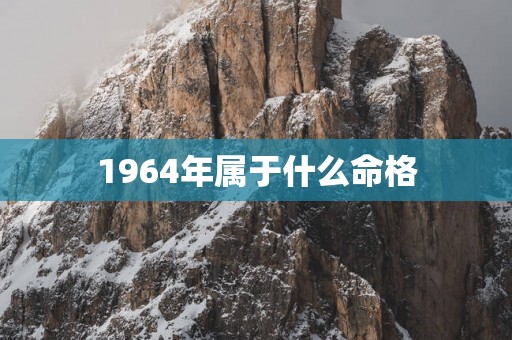 1964年属于什么命格