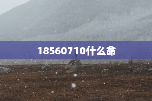 18560710什么命