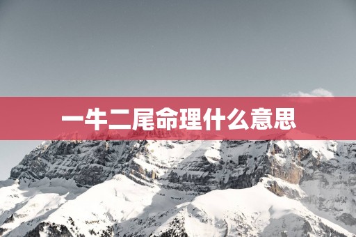 一牛二尾命理什么意思