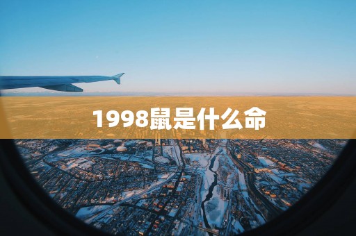 1998鼠是什么命