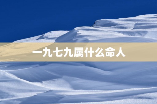一九七九属什么命人