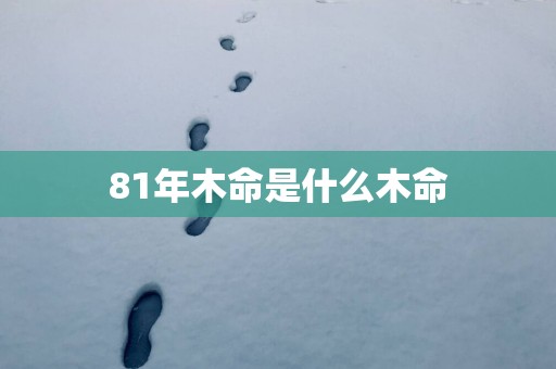81年木命是什么木命
