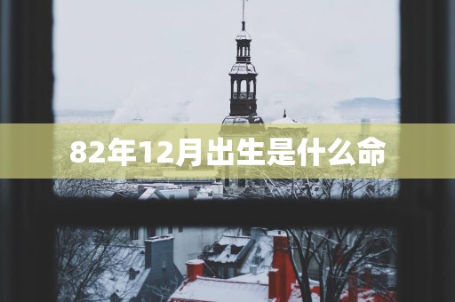 82年12月出生是什么命
