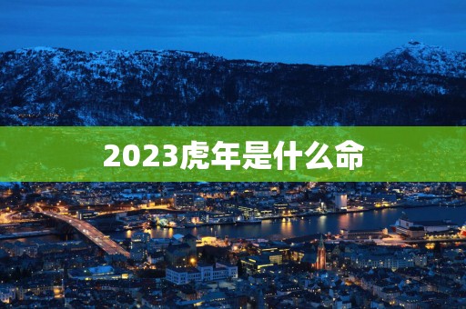 2025蛇年是什么命