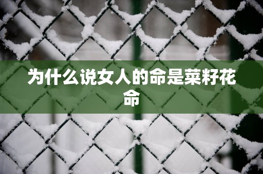 为什么说女人的命是菜籽花命