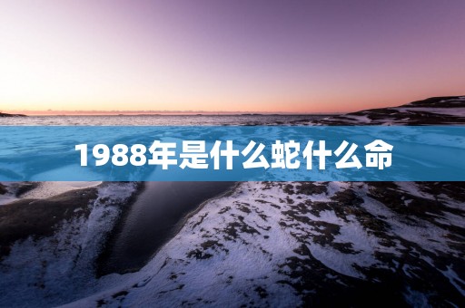 1988年是什么蛇什么命