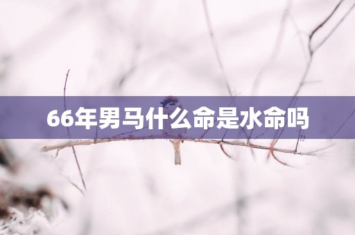 66年男马什么命是水命吗