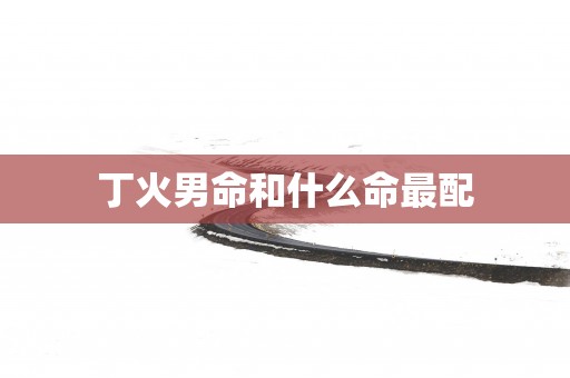 丁火男命和什么命最配