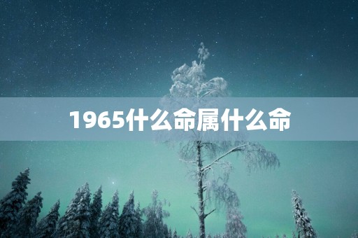 1965什么命属什么命