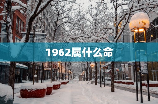 1962属什么命