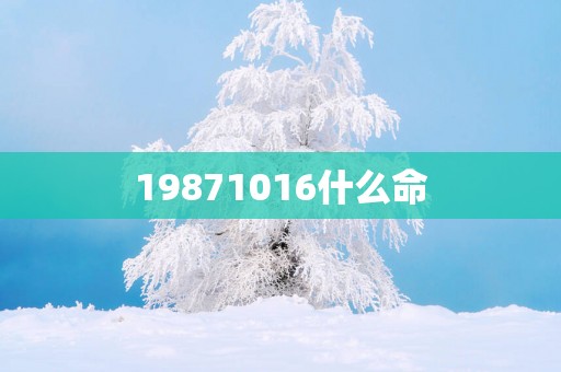 19871016什么命