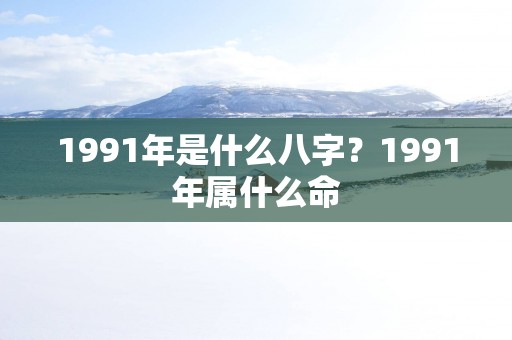1991年是什么八字？1991年属什么命